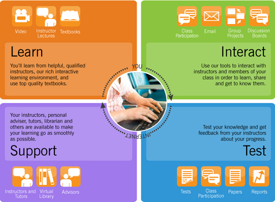 The Online Learning Experience
